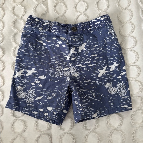 Carter's Other - Carter's Blue and White Kids Shorts